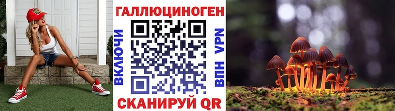 закладка  Кунгур  Галлюциногенные грибы ЛСД 